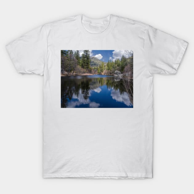 Lake Fulmor T-Shirt by MCHerdering